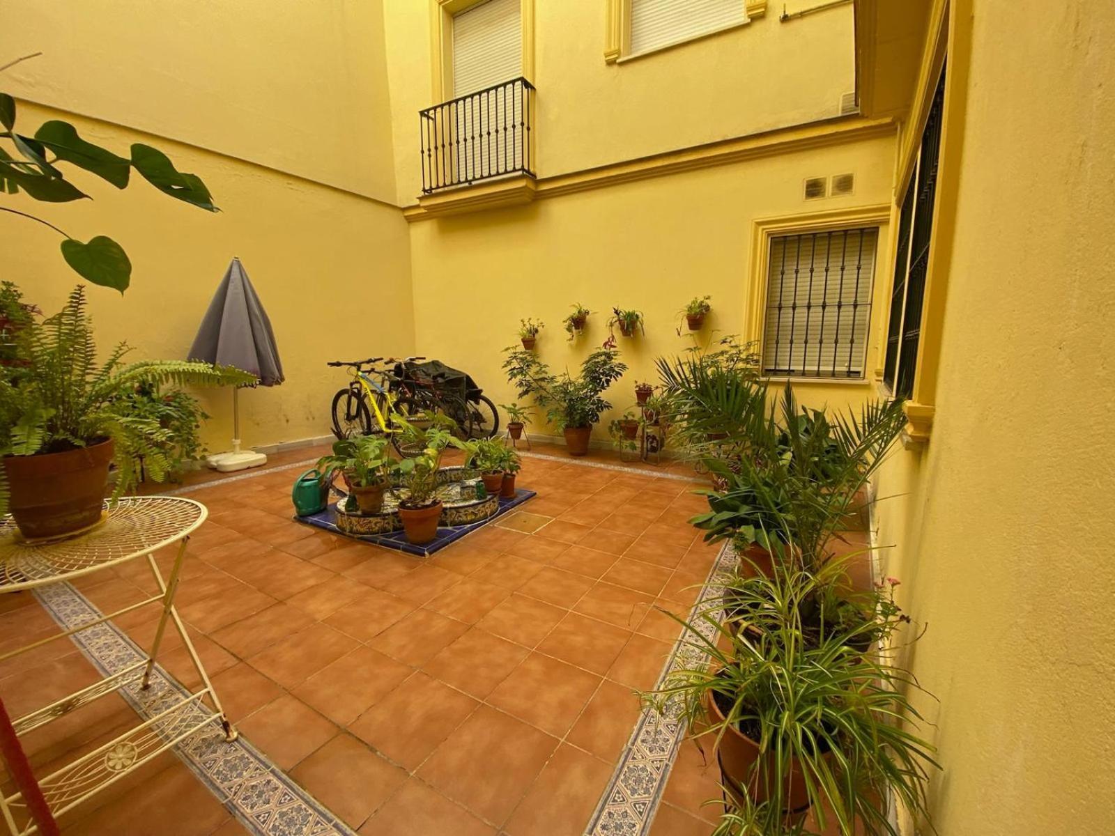 Apartament La Azotea Del Sol Sewilla Zewnętrze zdjęcie